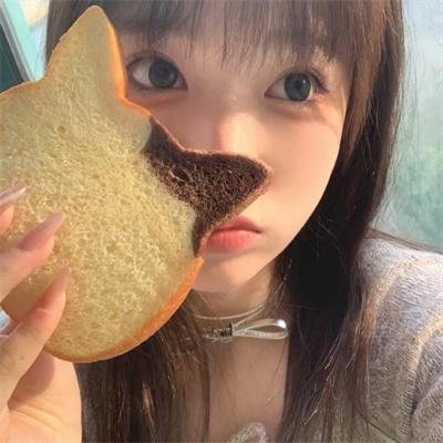 派特森与芬达猫