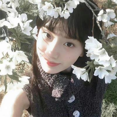 钢琴之森第二季